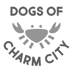 Dogs of Charm City